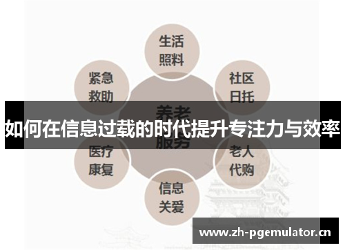 如何在信息过载的时代提升专注力与效率 如何在信息过载的时代提升专注力与效率