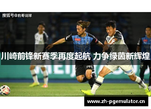 川崎前锋新赛季再度起航 力争绿茵新辉煌 川崎前锋新赛季再度起航 力争绿茵新辉煌