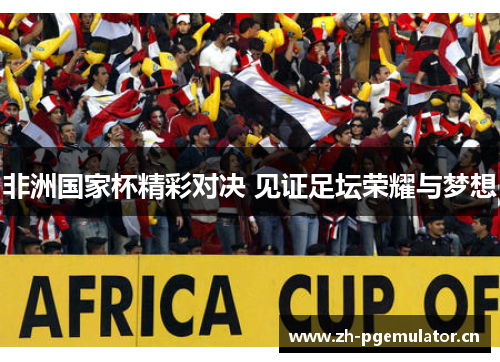 非洲国家杯精彩对决 见证足坛荣耀与梦想