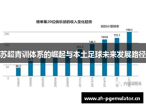 苏超青训体系的崛起与本土足球未来发展路径 苏超青训体系的崛起与本土足球未来发展路径