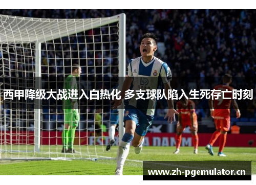 西甲降级大战进入白热化 多支球队陷入生死存亡时刻 西甲降级大战进入白热化 多支球队陷入生死存亡时刻
